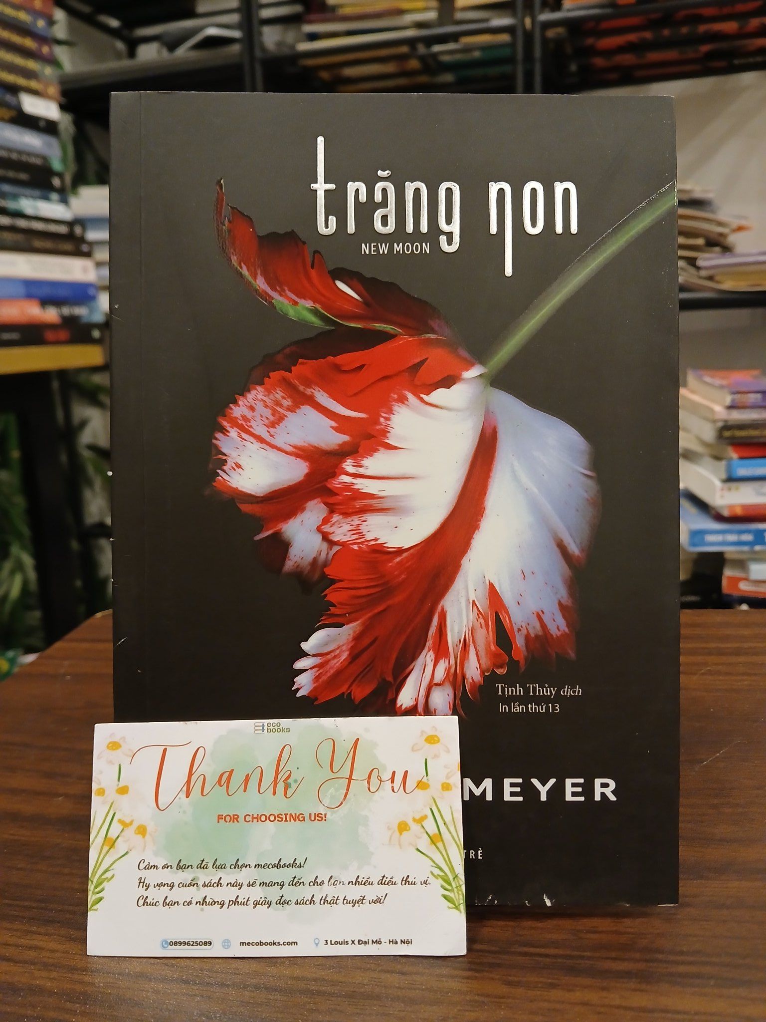 Trăng Non- Stephenie Meyer