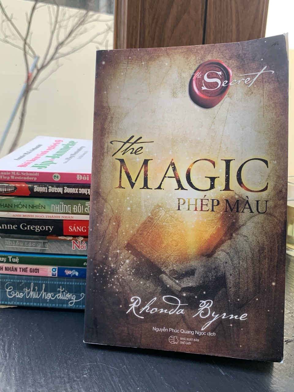 Magic in the Playroom - Enid Blyton