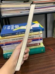 Diều hâu — Nguyễn Trí - ảnh 3