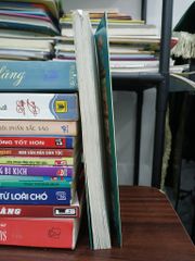 Linh vật cát tường phong thủy – Khánh Linh - ảnh 4