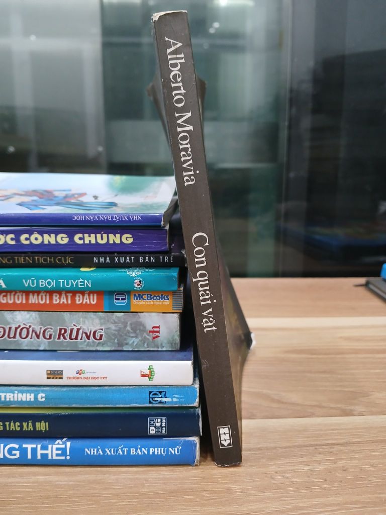 Con quái vật – Alberto Moravia - Ảnh thực tế 3