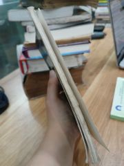 LUẬT Karate-do- Uỷ ban thể dục thể thao - ảnh 4