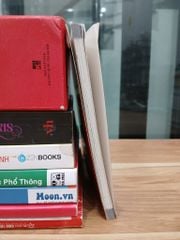 Sao phải đau đến như vậy – Nguyễn Phong Việt (Saigon Books) - ảnh 4