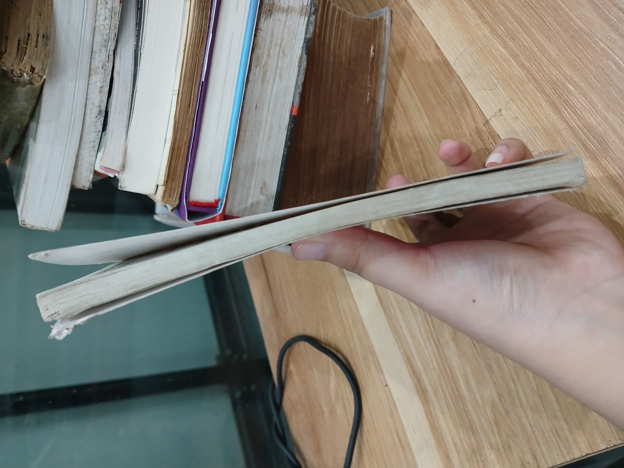 Đông Phương xử thế- Nguyễn Lê Tuấn