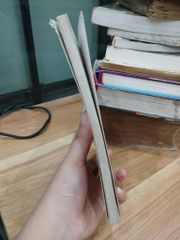 Đông Phương xử thế- Nguyễn Lê Tuấn - ảnh 4