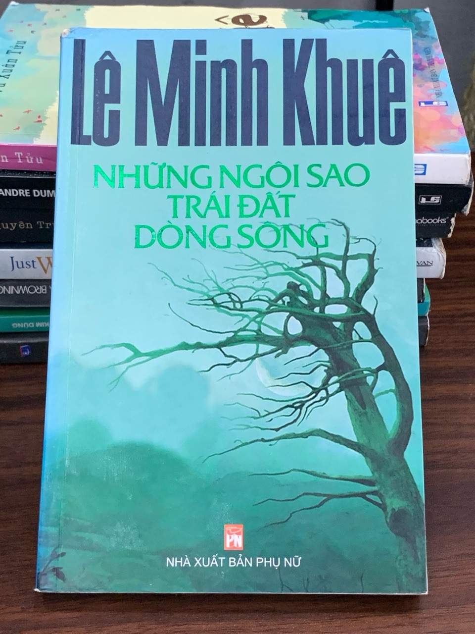 Những ngôi sao trái đất, dòng sông – Lê Minh Khuê