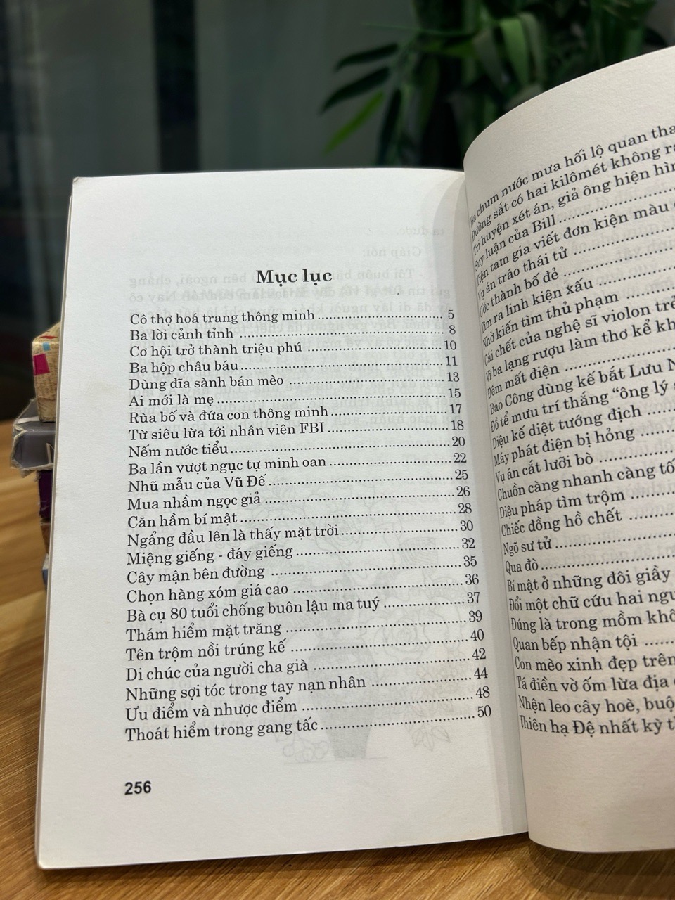 Truyện kể luyện trí thông minh (Tập 2) – Lâm Thụy, Đức Việt biên soạn