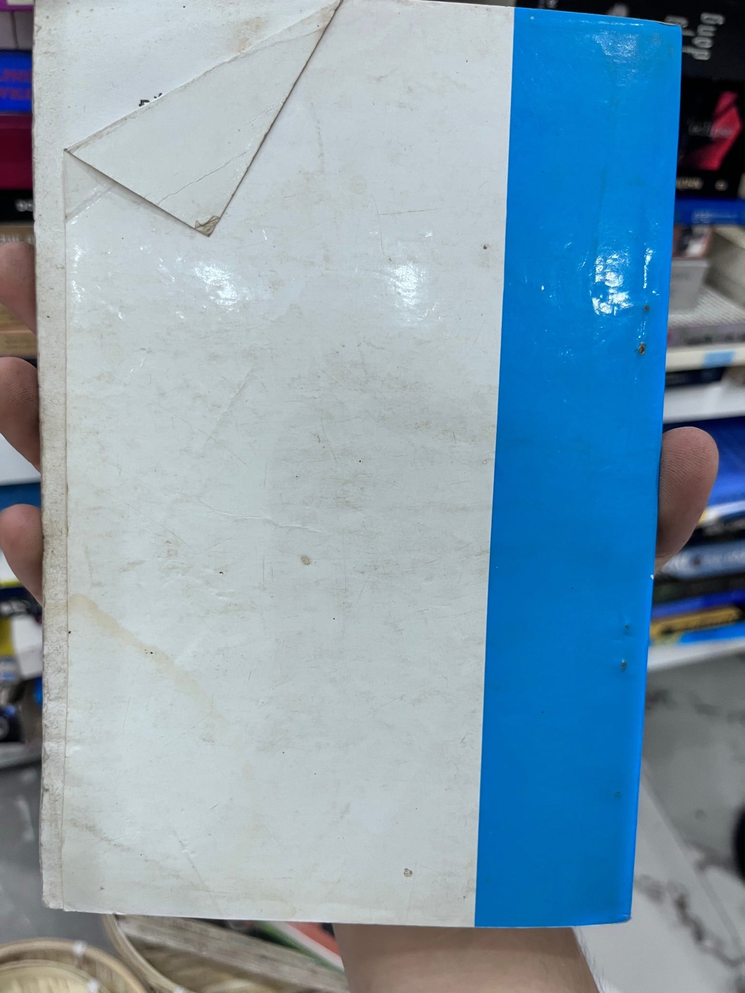 Hình ảnh 2
