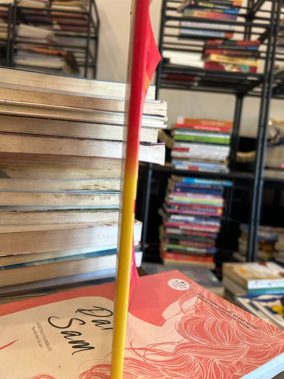 Đại Sâm - Laetitia Colombani & Nguyễn Mai Chi dịch - Laetitia Colombani