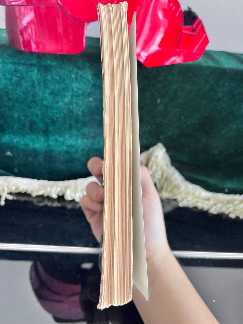 Đất Rừng Phương Nam - Đoàn Giỏi - ảnh 4