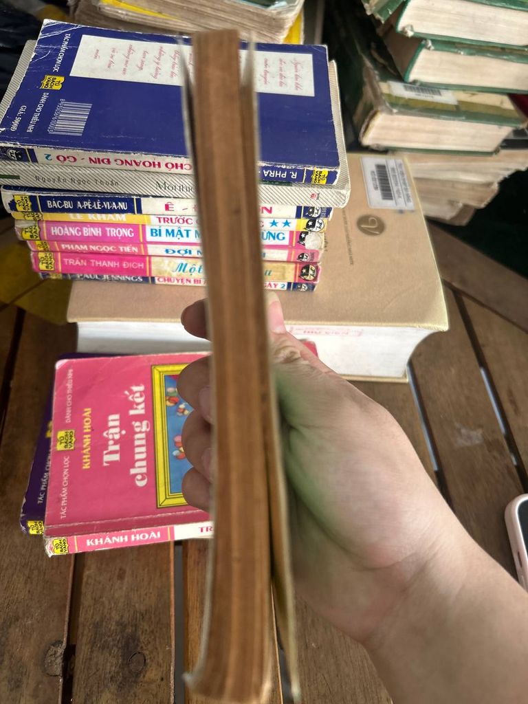 Đất Rừng Phương Nam - Đoàn Giỏi - Ảnh thực tế 4