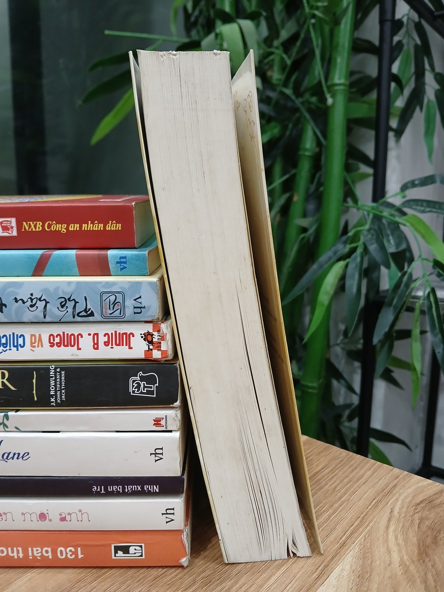Hương mật tựa khói sương – Điện Tuyến