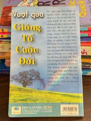 Vượt qua giông tố cuộc đời - ảnh 2