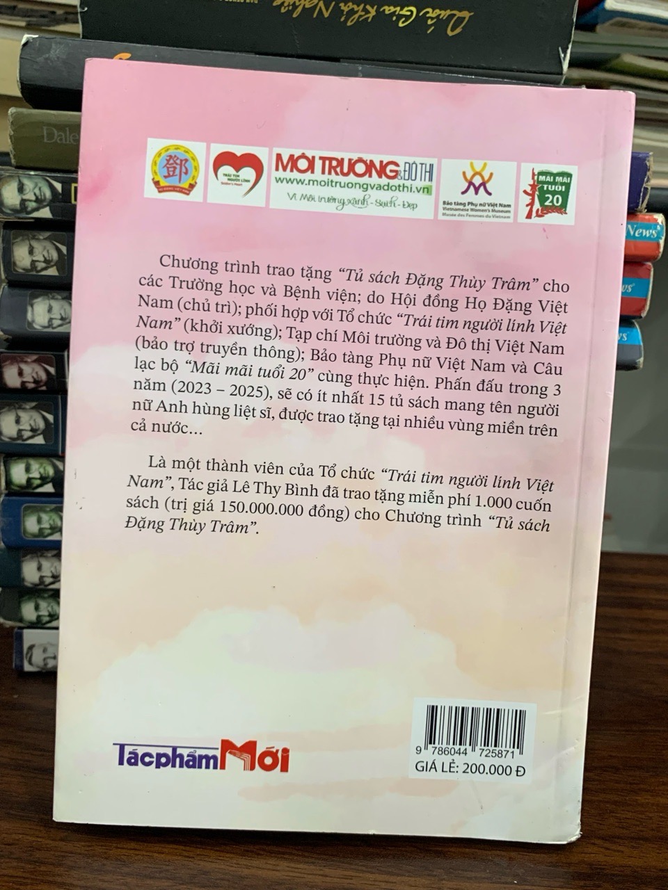 Á Hậu "Lọ Lem"- Lê Thy Bình