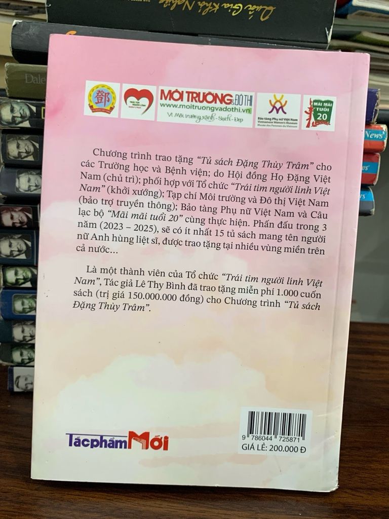 Á Hậu "Lọ Lem"- Lê Thy Bình