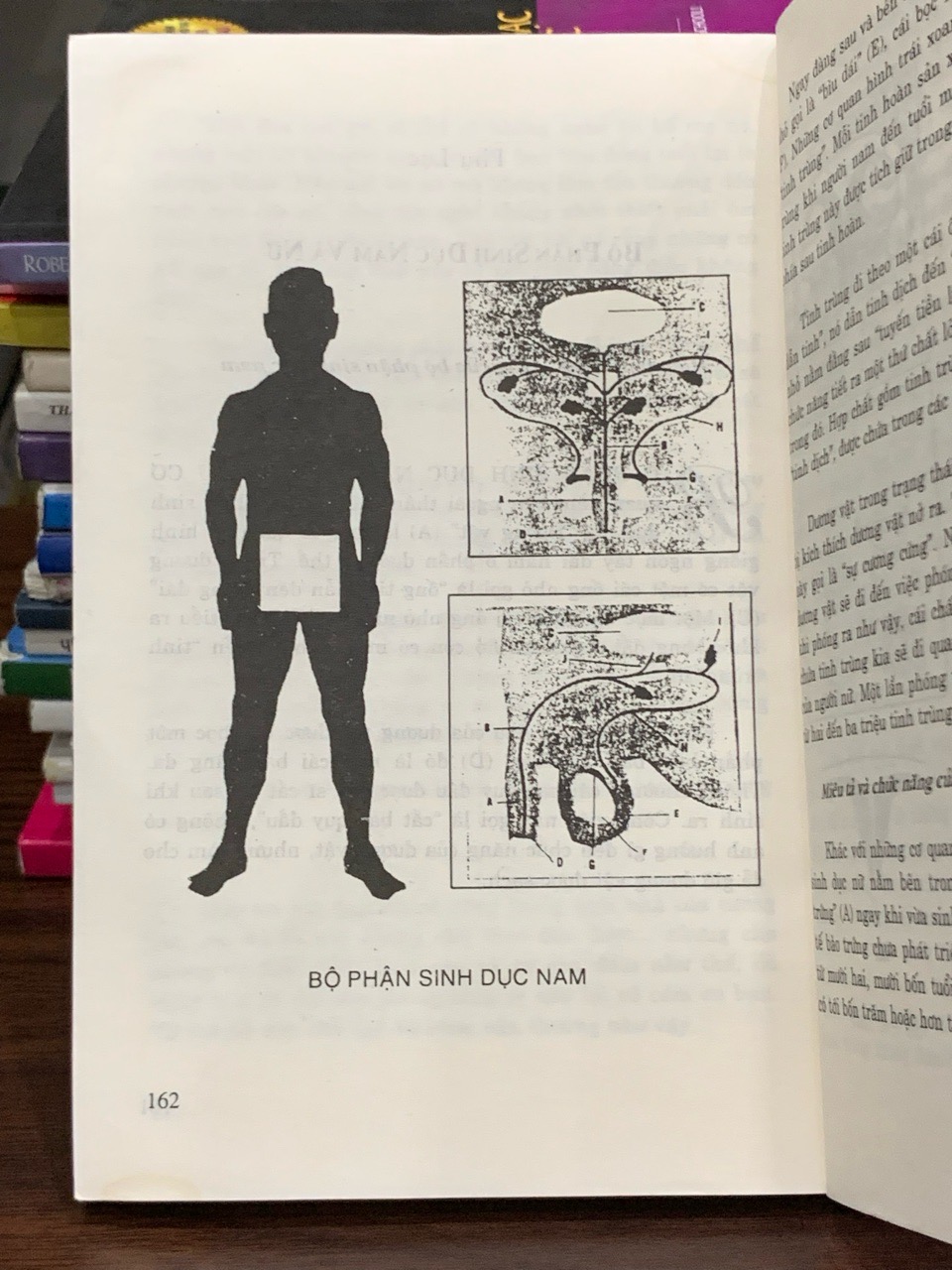 Giáo dục giới tính cho thanh thiếu niên – Nguyễn Thanh Thông (biên soạn)