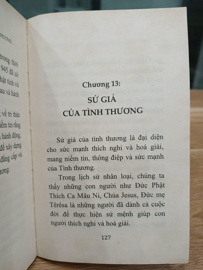 Việt Nam Quốc Gia Của Tình Thương (Hà Huy Thanh) - Ảnh thực tế 9