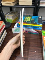 Truyện loài vật thế giới- Chuyện về rồng - ảnh 3