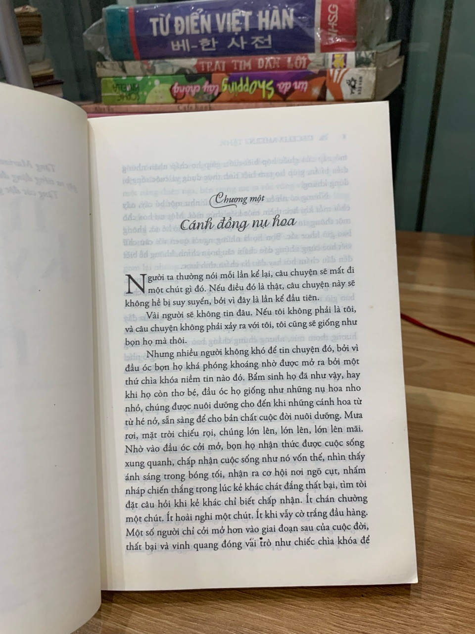 Nhật ký của ngày mai -Cecelia Ahern