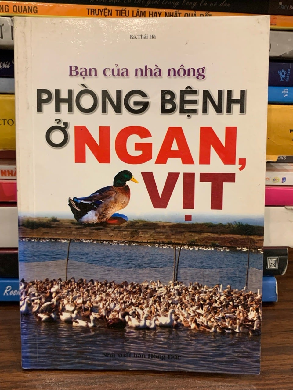 Phòng bệnh ở ngan, vịt (Bạn của nhà nông) – Ks. Thái Hà