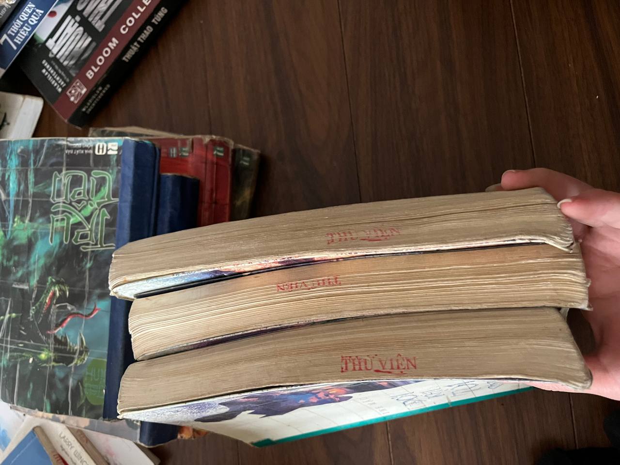 Đợi Khi Tôi Có Tội - Đinh Mặc - Đinh Mặc - BT - Đinh Mặc