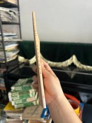 Đòng Vọng Thơ - Lê Minh Luận - ảnh 2