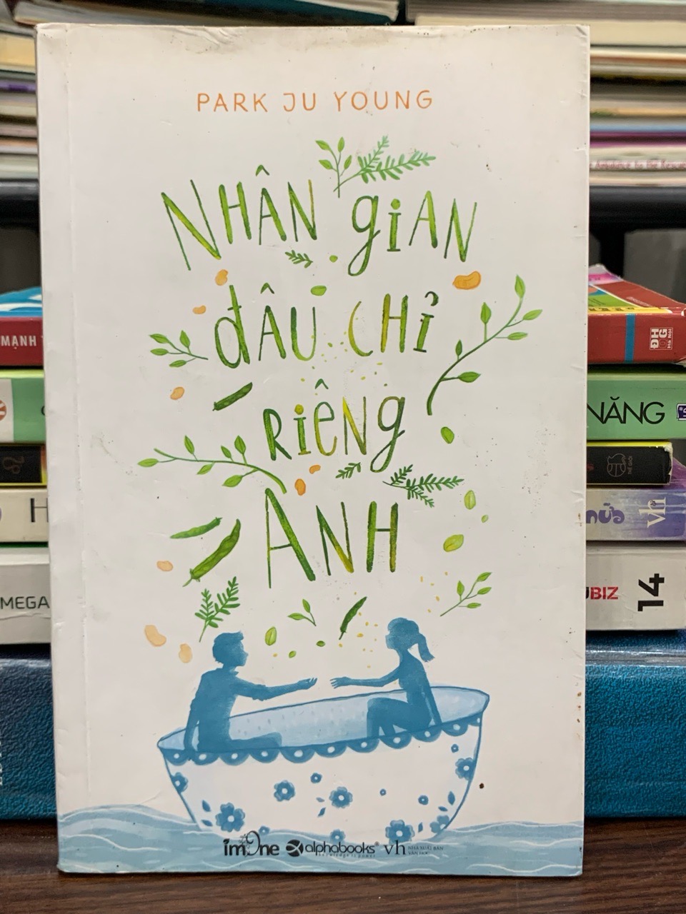 Nhân gian đâu chỉ riêng anh – Park Ju Young