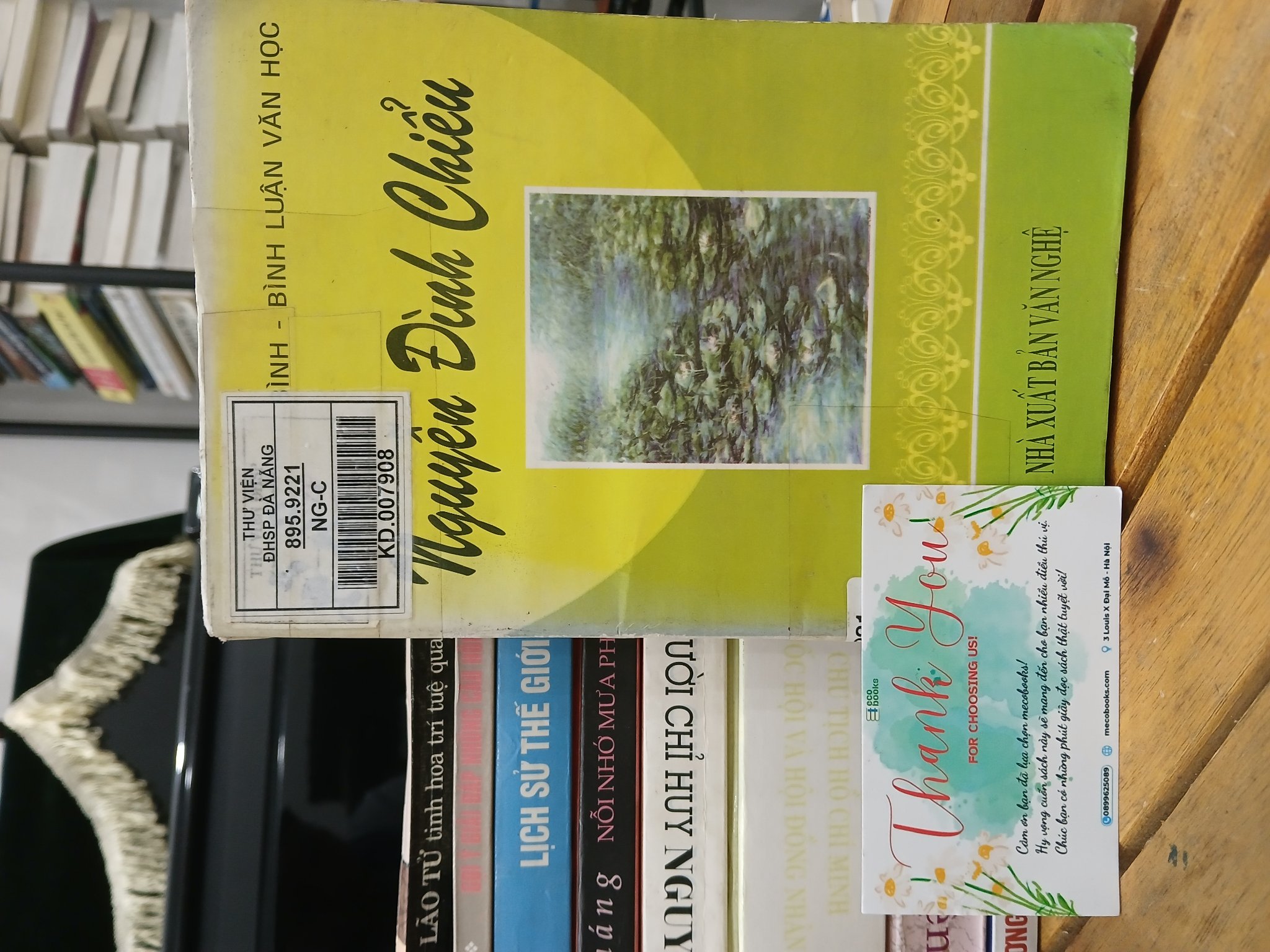 Nguyễn Đình Chiểu – Lý luận, phê bình, bình luận văn học