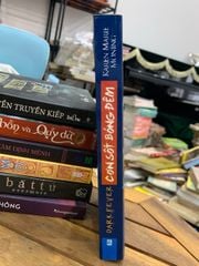 Cơn sốt bóng Đêm -Karen marie moning - ảnh 3