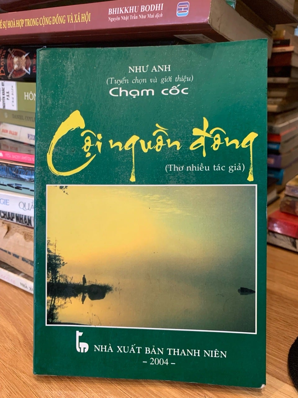 Chạm cốc  Cội nguồn đông -Như Anh