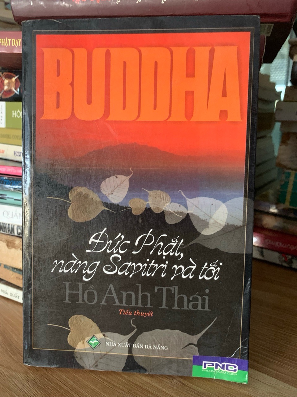 Đức phật ,nàng Sayitri và tôi -Hồ Anh Thái