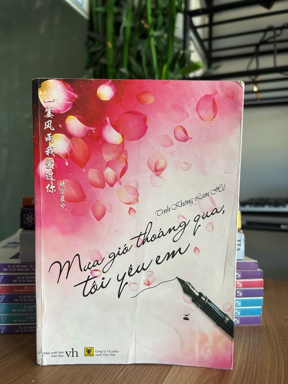 Mùa gió thoảng qua, tôi yêu em - Tinh Không Lam Hề