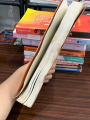 Giáo trình văn học dân gian Việt Nam – Lê Đức Luận - ảnh 3