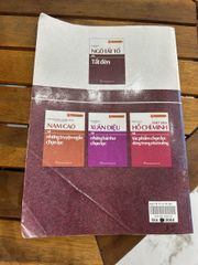 Ngô Tất Tố và Tắt đèn – Phan Cự Đệ (chủ biên) - ảnh 5