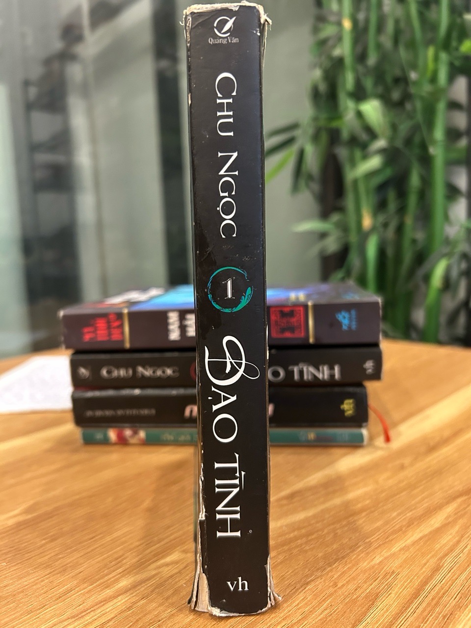 Đạo Tình (Tập 1) – Chu Ngọc