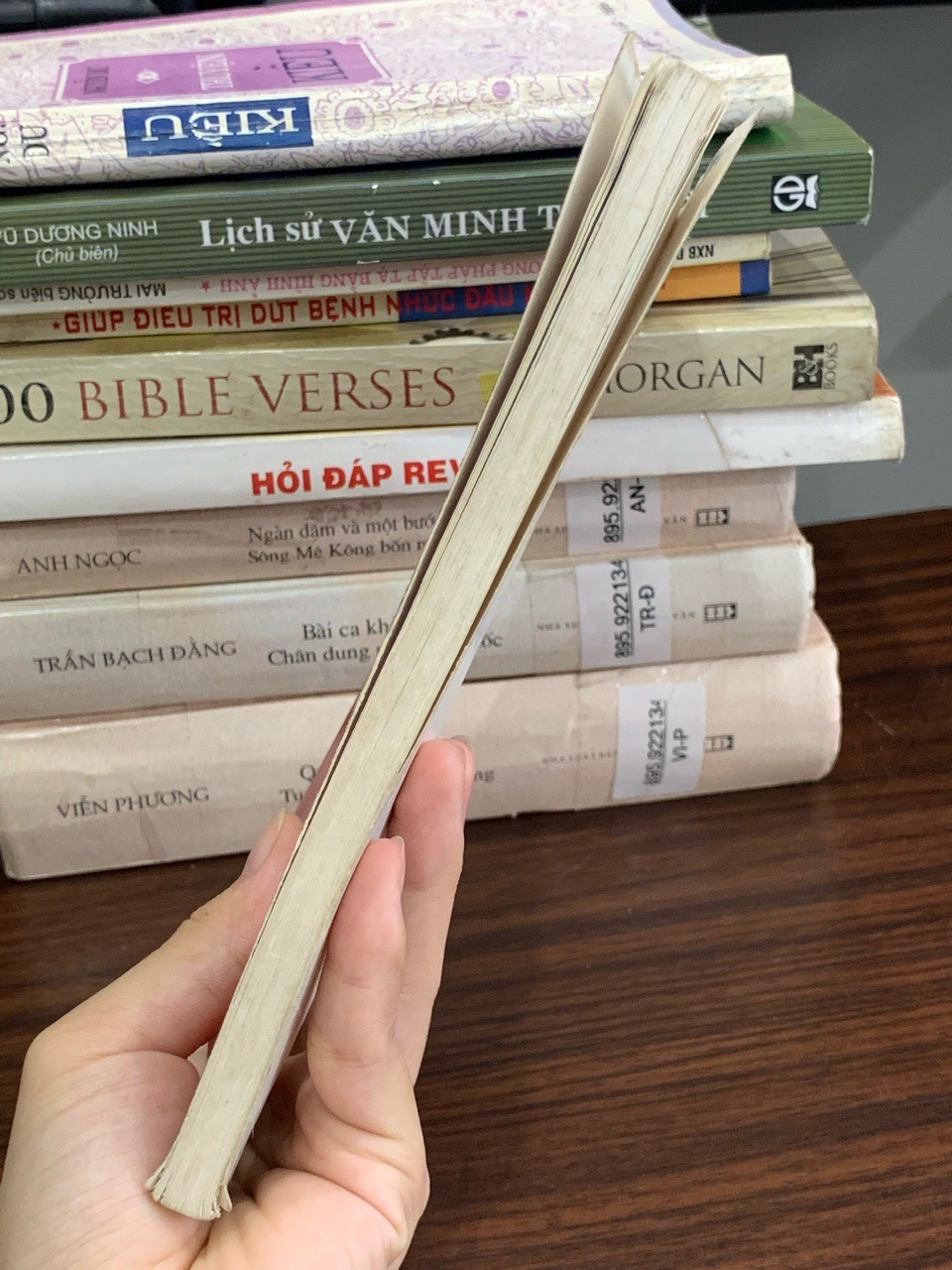 Truyện Kiều (Bùi Kỷ và Trần Trọng Kim hiệu khảo) – Nguyễn Du