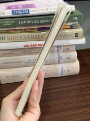 Truyện Kiều (Bùi Kỷ và Trần Trọng Kim hiệu khảo) – Nguyễn Du - ảnh 3