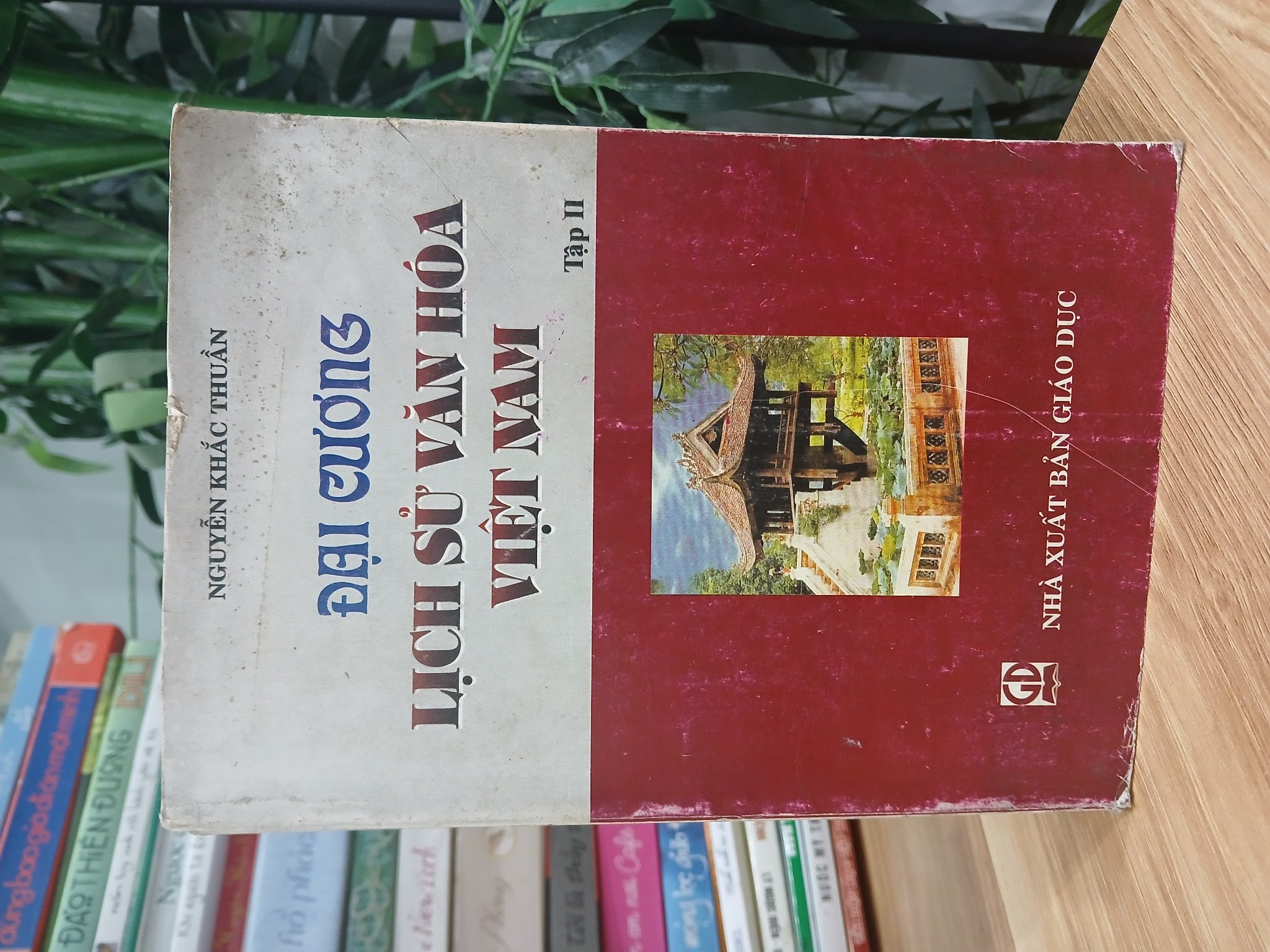 Đại Cương Lịch Sử Văn Hóa Việt Nam Tập II - Nguyễn Khắc Thuần