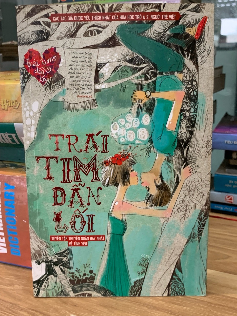 Trái tim dẫn lối  2