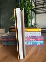 Có con chim lạ trong thành phố - Tiến Đạt - ảnh 3