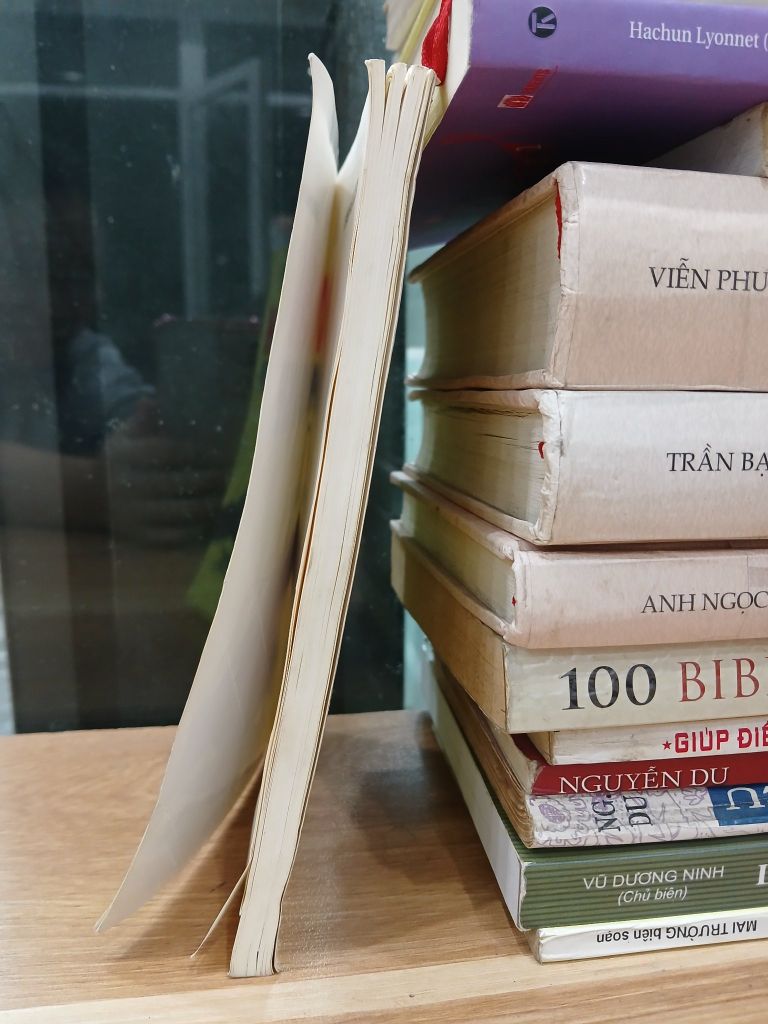 Dế Mèn phiêu lưu ký – Tô Hoài - Ảnh thực tế 4