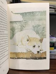 Hachiko chú chó đợi chờ- Luis Prats - ảnh 4