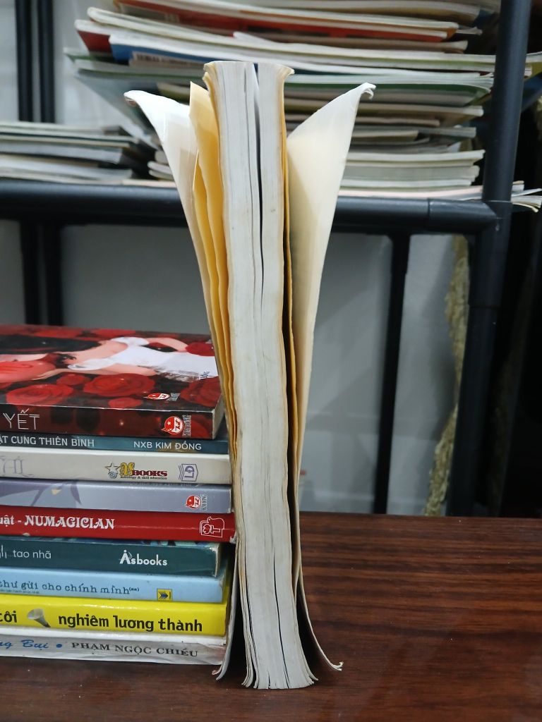 Trạch vận gia cư- Bích Ngọc - Ảnh thực tế 4