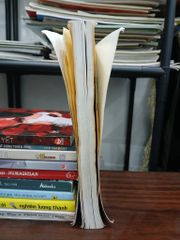 Trạch vận gia cư- Bích Ngọc - ảnh 4