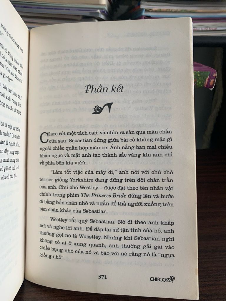Không còn tâm trạng để yêu (I'm In No Mood For Love) – Rachel Gibson - Ảnh thực tế 5