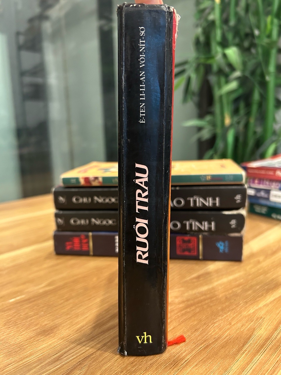 Ruồi Trâu – Ethel Lilian Voynich