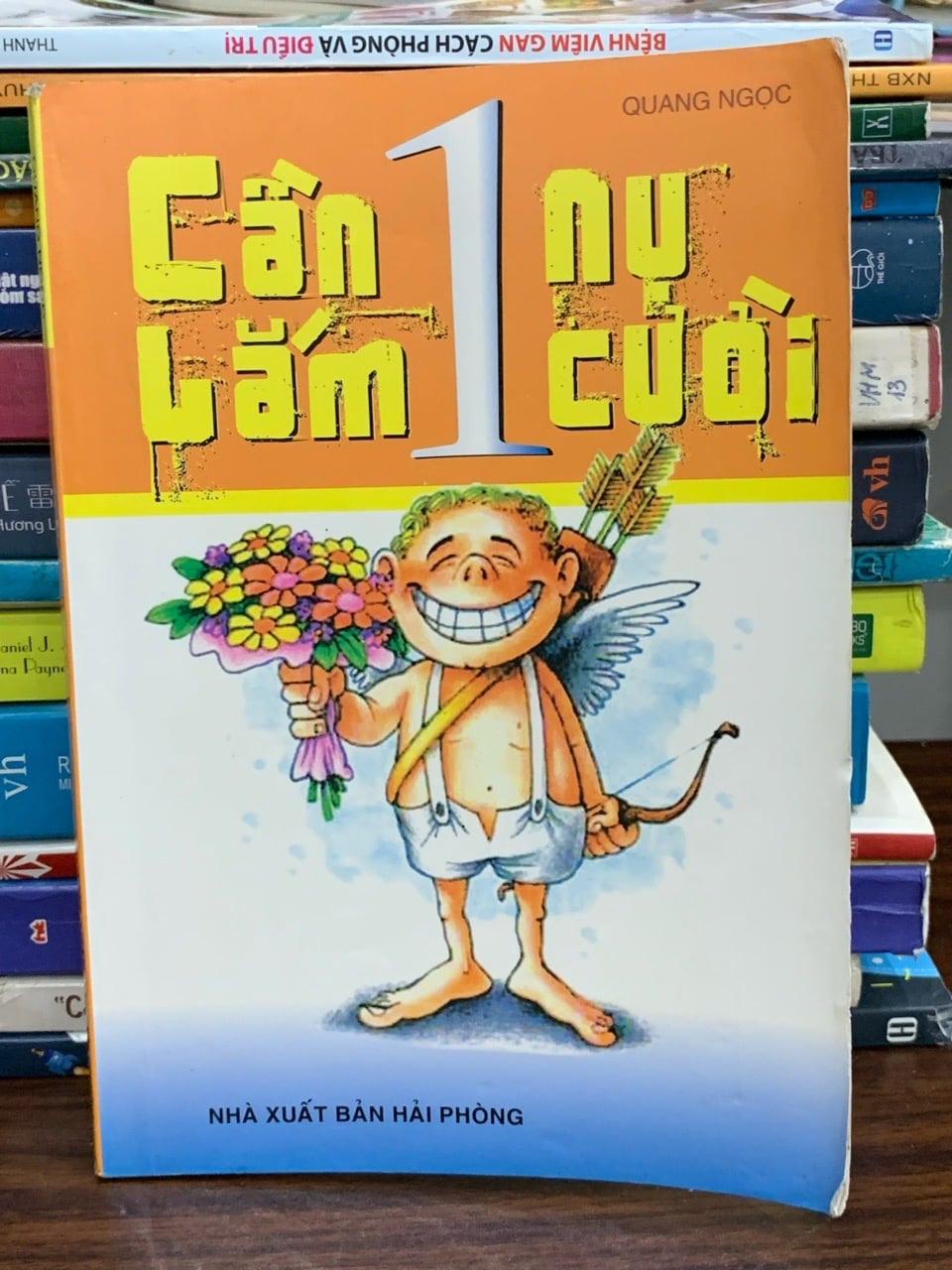 Cần lắm 1 nụ cười — Quang Ngọc