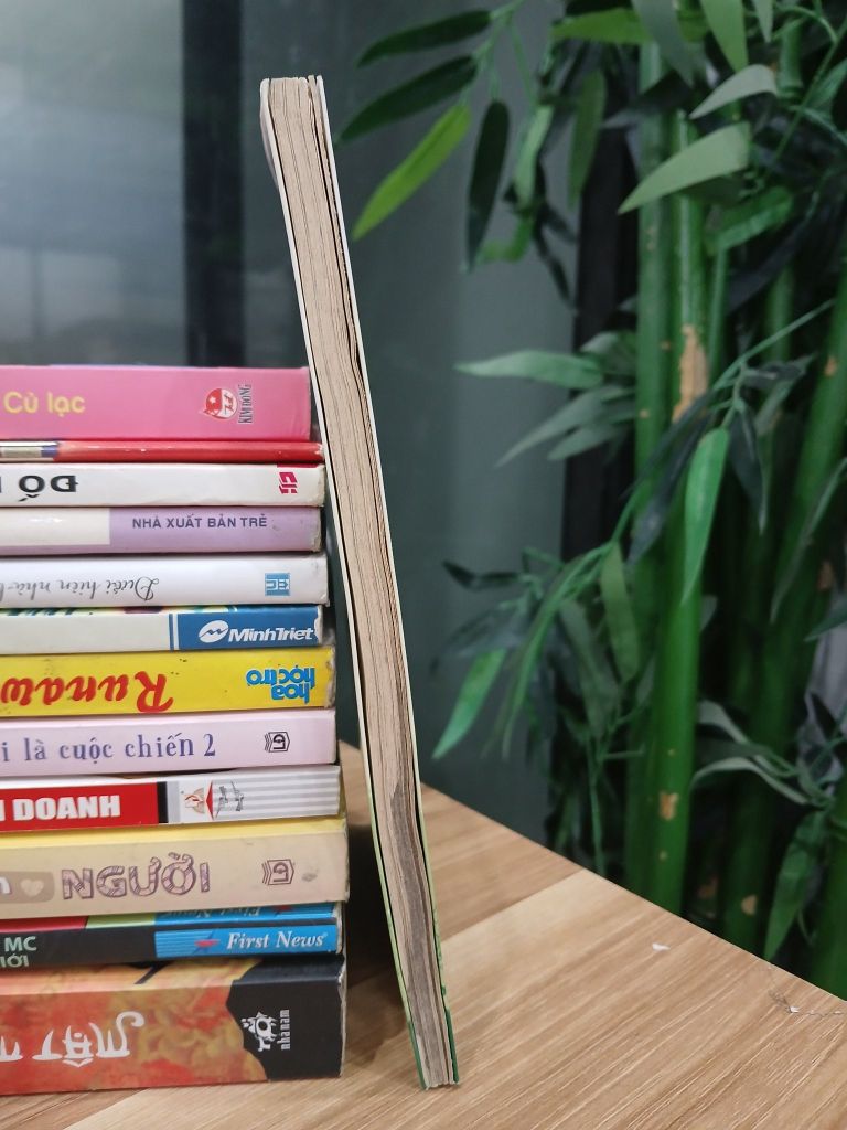 Cỏ dại – Hồng Thủy - Ảnh thực tế 4