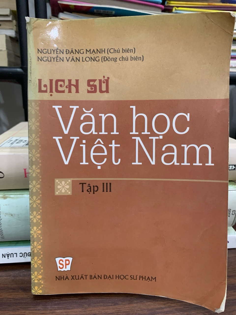 Lịch sử văn học Việt Nam – Tập III – Nguyễn Đăng Mạnh (chủ biên)