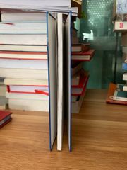 Đổi mới tổ chức và hoạt động ngành thanh tra nhằm tăng cường năng lực phòng chống tham nhũng - ảnh 4